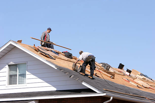 Best Storm Damage Roof Repair  in Wolf Trap, VA